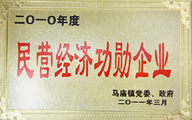 民營(yíng)經(jīng)濟(jì)功勛企業(yè)-2011.jpg